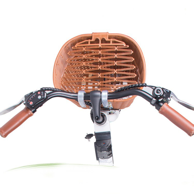 Lee6110 Electric City Bike 26