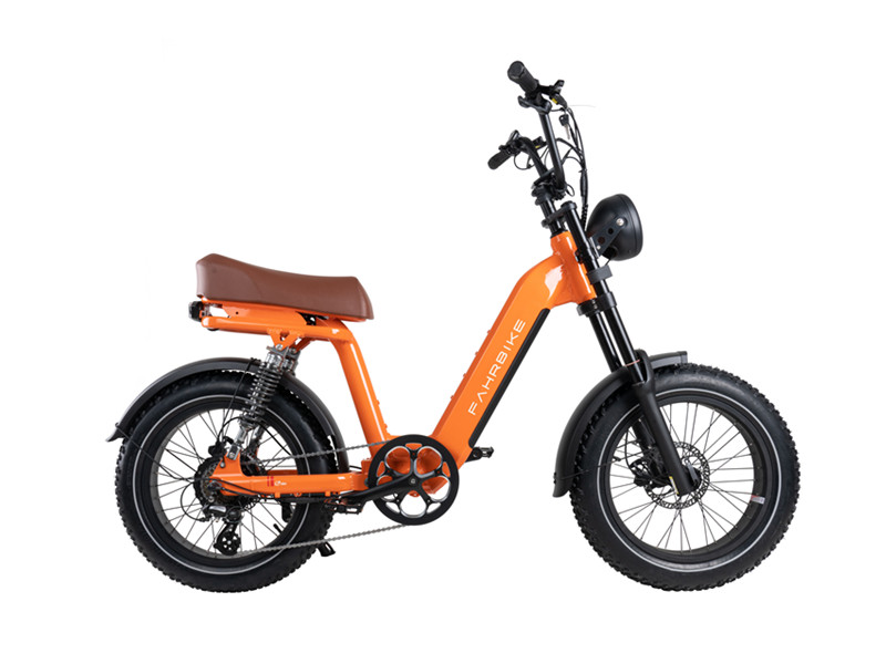 Electric bike in Design variations