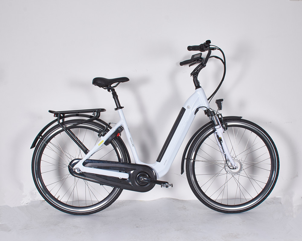 Lee6040 Mid Motor Electric City bike