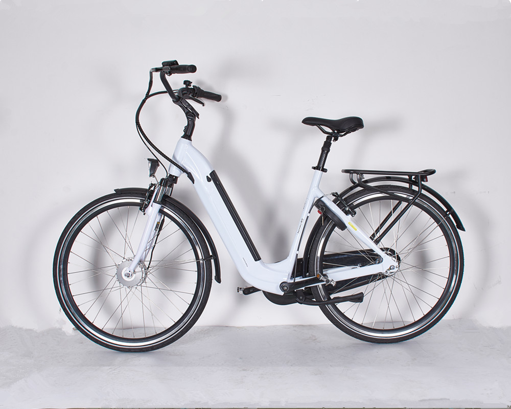 Lee6040 Mid Motor Electric City bike