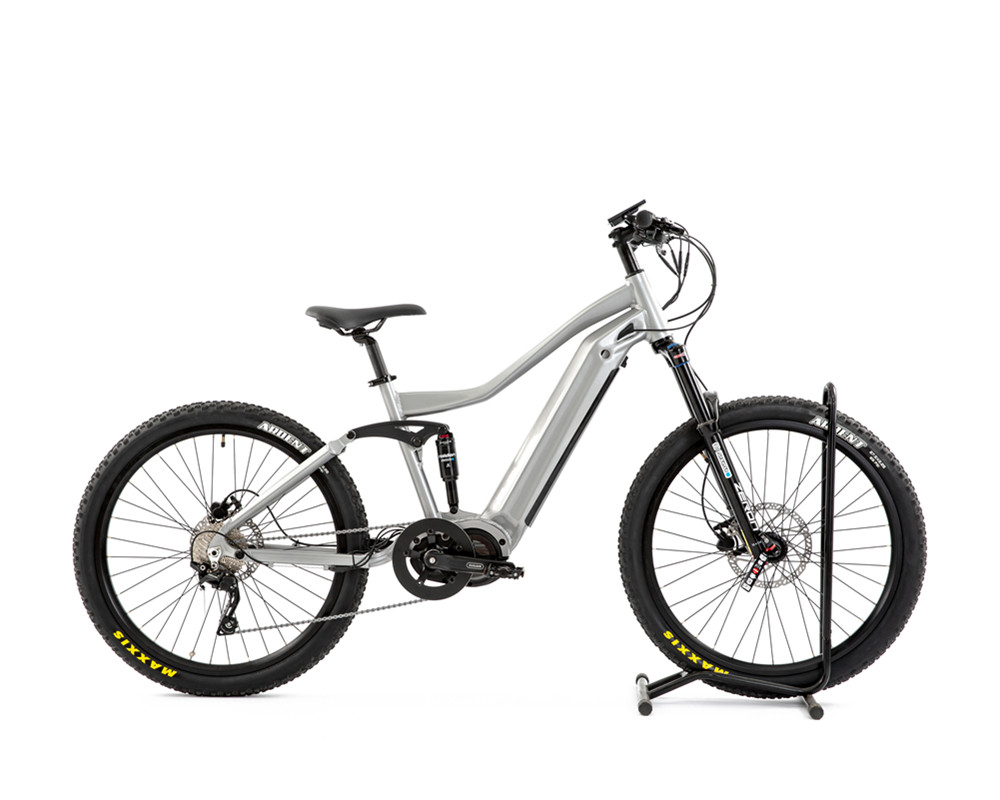 Electric Bike in Health Effects