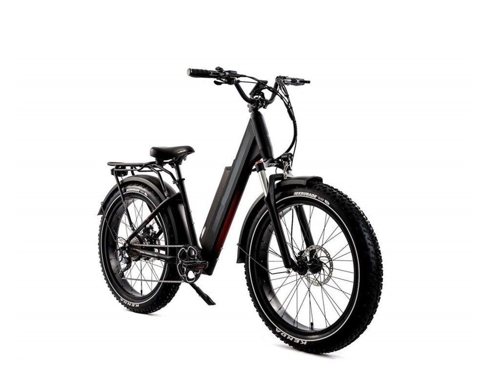 Lee9060 Fat Mountain Electric Bike