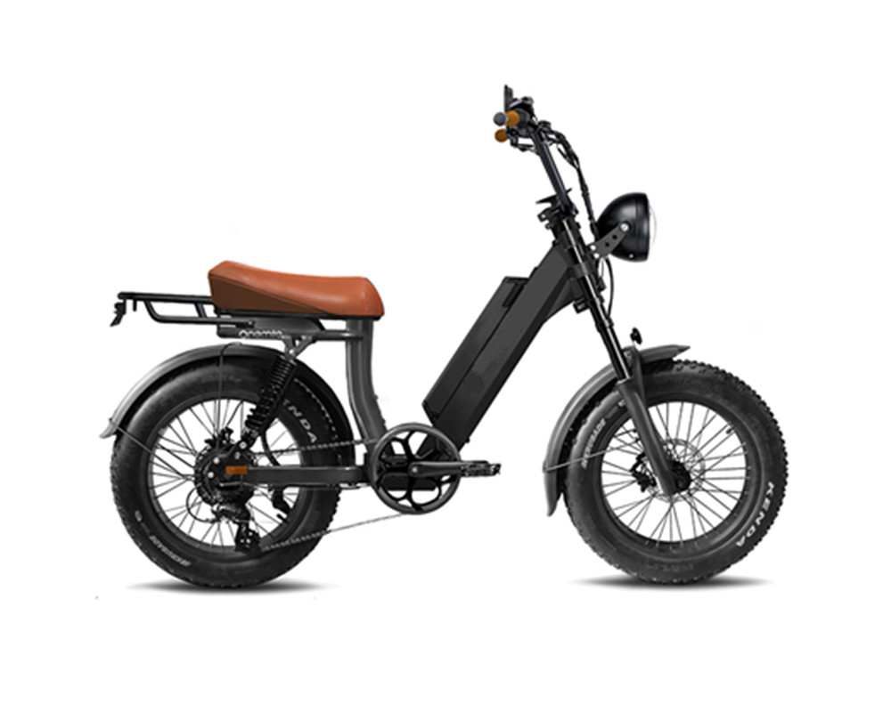 Moped style Fat Tire Electric bike lee9400