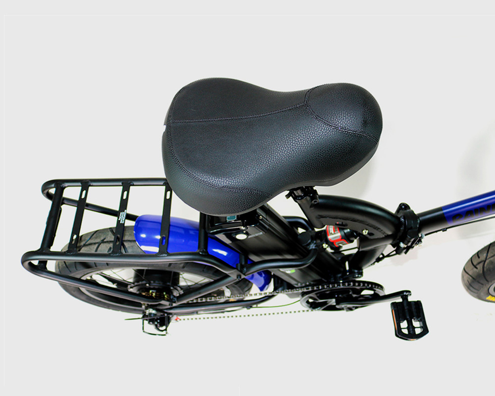 Lee9720 Electric Folding Bike Fat Tire