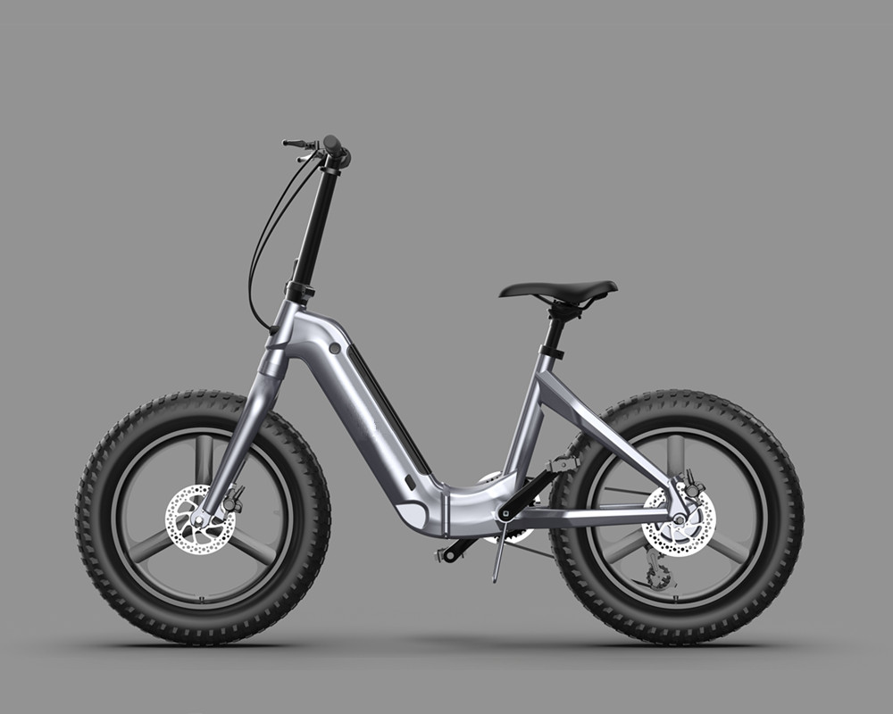 Folding fat tire electric bike lee910