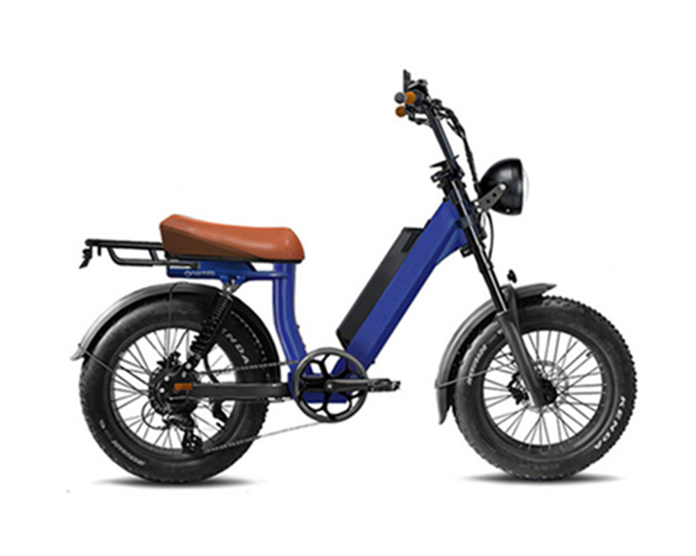 utility e-bikes electric moped bikes fat tire electric bike Lee9400