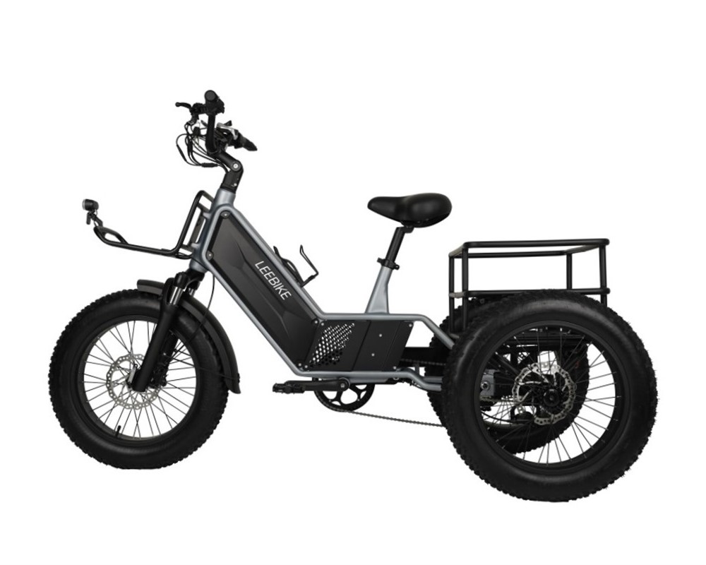 3 Wheel Hidden Battery Electric Trike LEE992